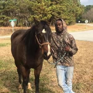 Meet your Posher, Morrell